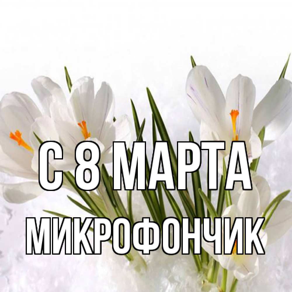 Открытка на каждый день с именем, Микрофончик C 8 МАРТА под снегом Прикольная открытка с пожеланием онлайн скачать бесплатно 