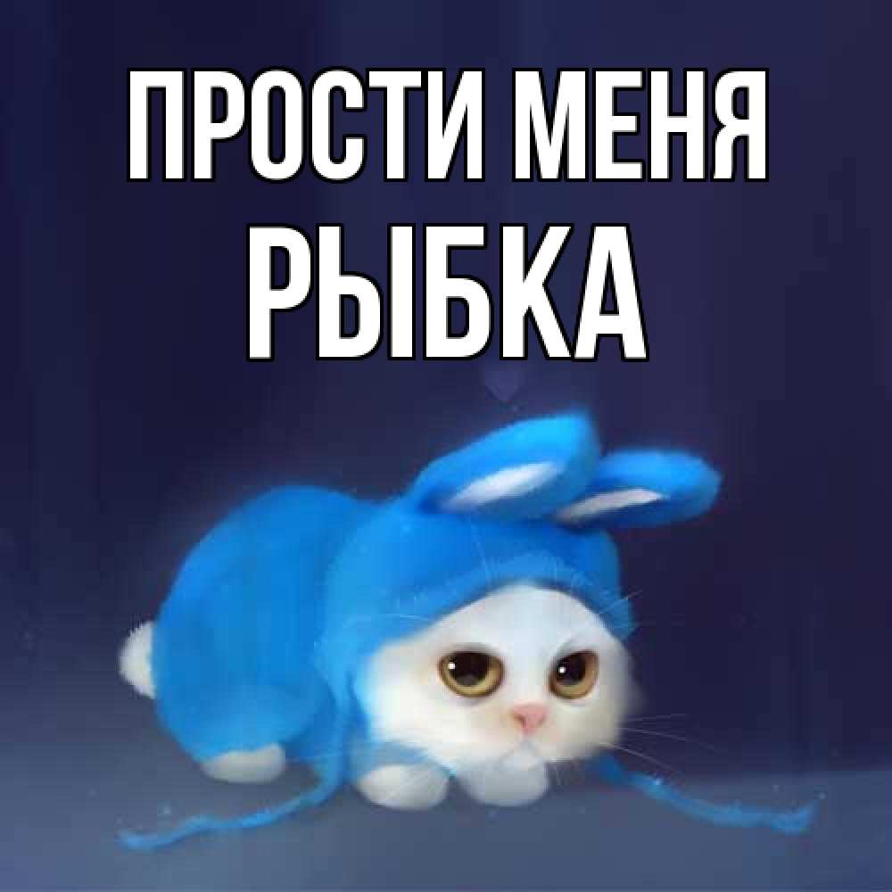 Открытка на каждый день с именем, Рыбка Прости меня невинный котозай просит прощения Прикольная открытка с пожеланием онлайн скачать бесплатно 