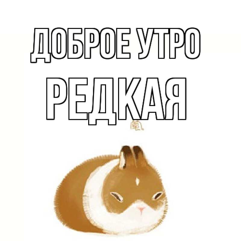 Картинка Доброе утро, Редкая