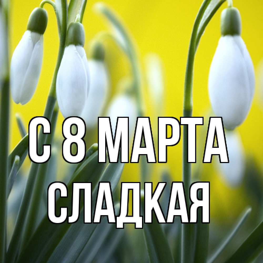 Открытка на каждый день с именем, сладкая C 8 МАРТА весенние цветы Прикольная открытка с пожеланием онлайн скачать бесплатно 