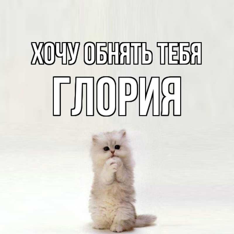 Картинка Хочу обнять тебя, Глория