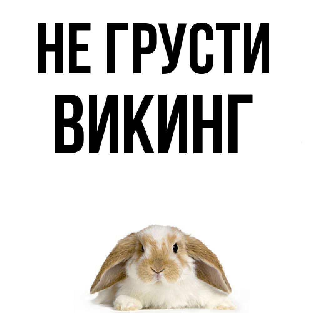 Открытка на каждый день с именем, Викинг Не грусти коричнево белый заяц с большими ушками Прикольная открытка с пожеланием онлайн скачать бесплатно 