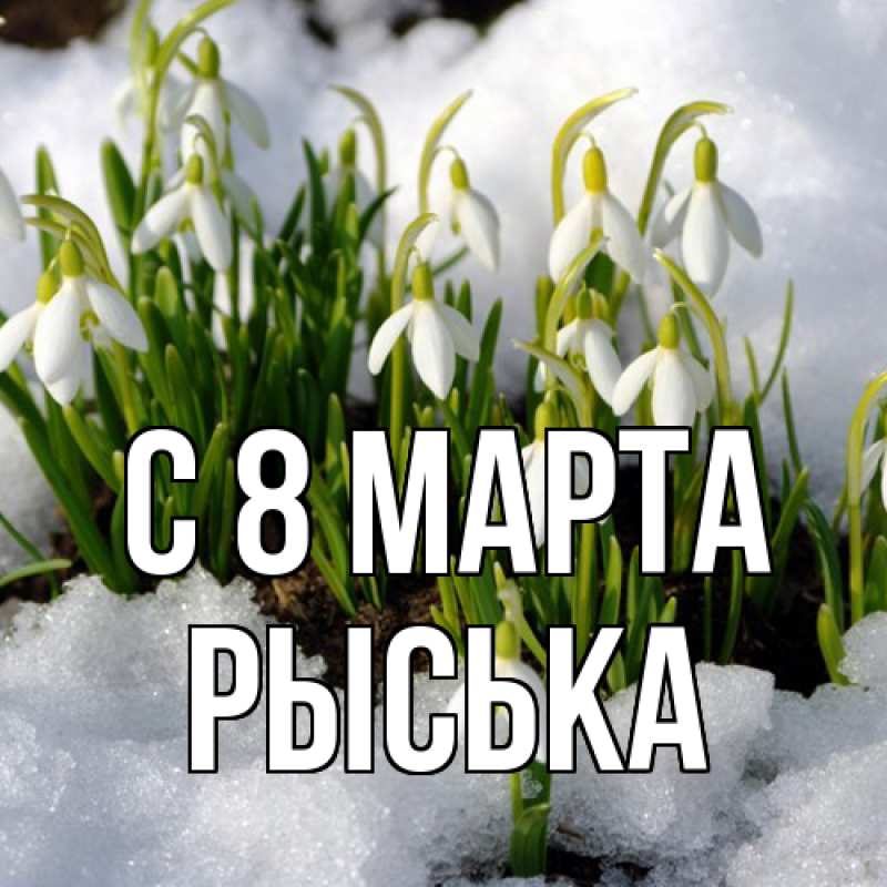 Картинка C 8 МАРТА, Рыська