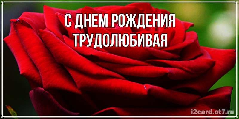 Картинка С днем рождения, Тpудолюбивая