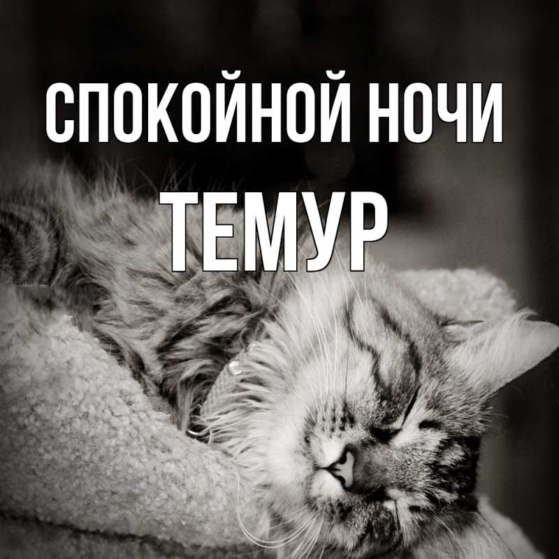 Картинка Спокойной ночи, Темур