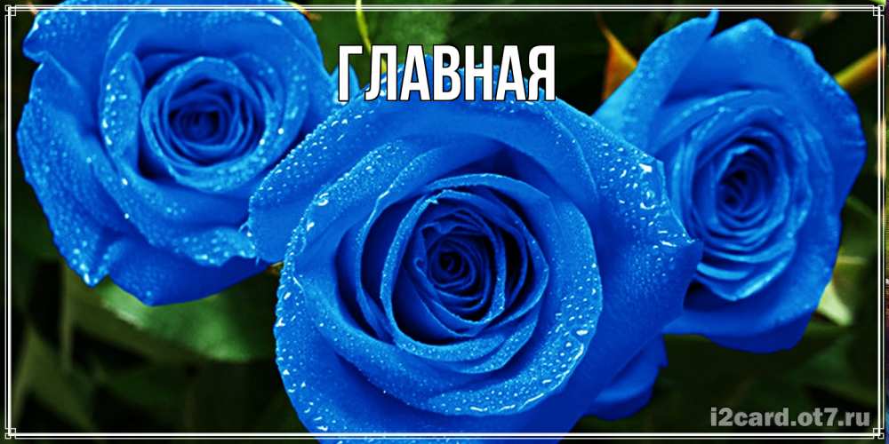 Открытка на каждый день с именем, настя Главная розы с синим цветом Прикольная открытка с пожеланием онлайн скачать бесплатно 