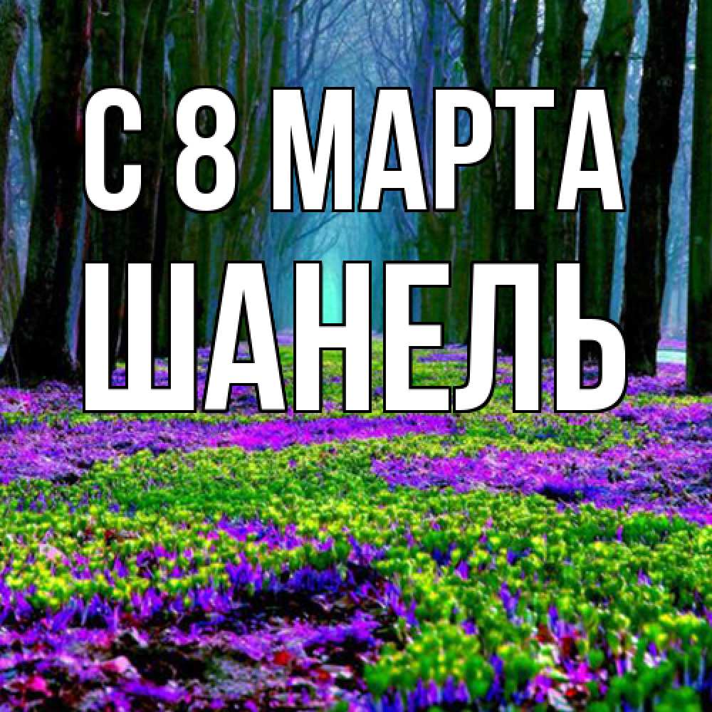 Открытка на каждый день с именем, Шанель C 8 МАРТА фиолетовые цветы в лесу 1 Прикольная открытка с пожеланием онлайн скачать бесплатно 