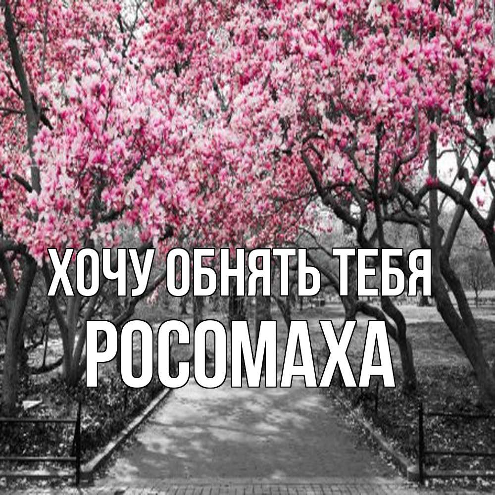 Открытка на каждый день с именем, Росомаха Хочу обнять тебя обработанное фото Прикольная открытка с пожеланием онлайн скачать бесплатно 