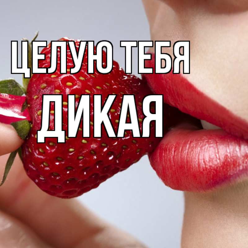 Картинка Целую тебя, дикая