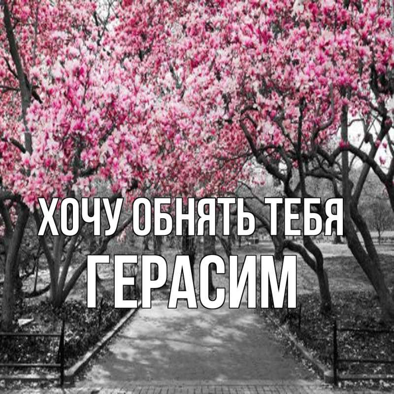 Картинка Хочу обнять тебя, Герасим