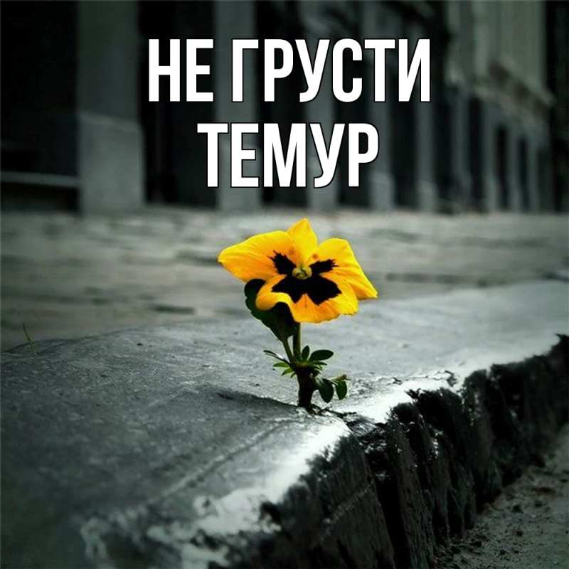 Картинка Не грусти, Темур