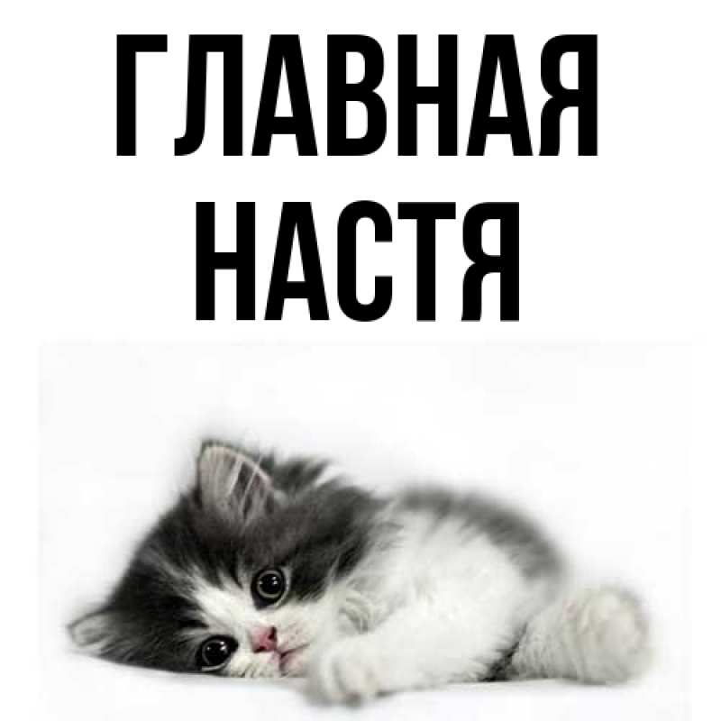 Картинка  с именем , настя