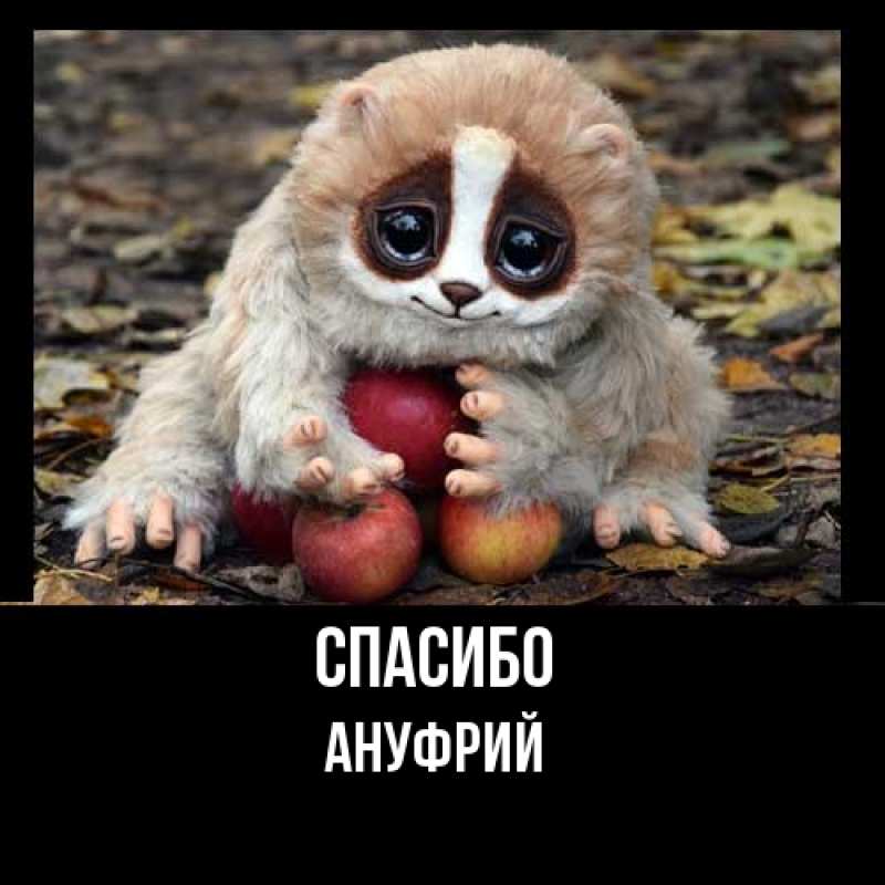 Картинка Спасибо, Ануфрий