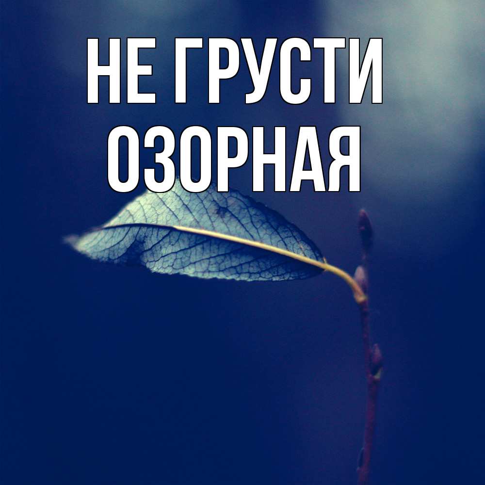 Открытка на каждый день с именем, Озоpная Не грусти растение Прикольная открытка с пожеланием онлайн скачать бесплатно 
