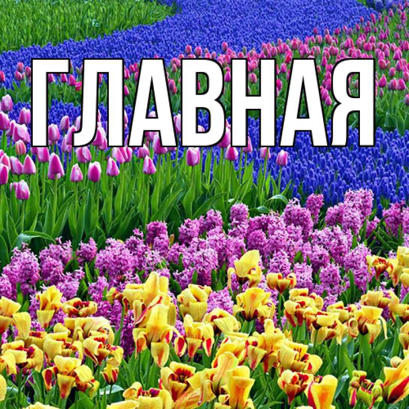 Картинка  с именем , Марьяна