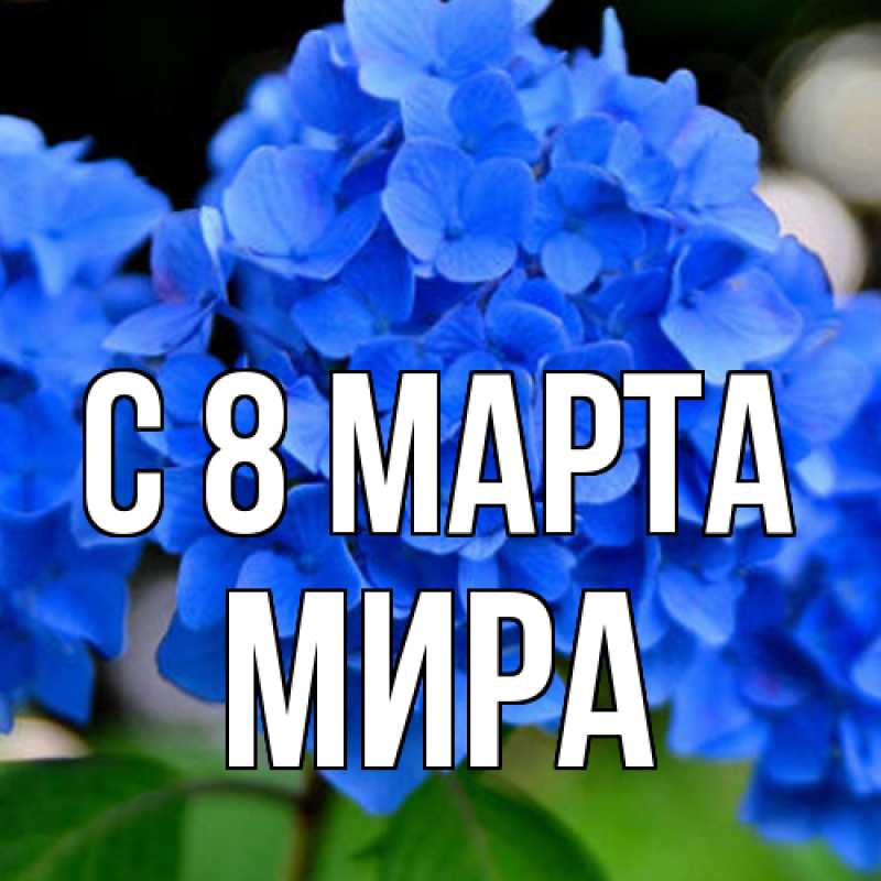 Картинка C 8 МАРТА, Мира