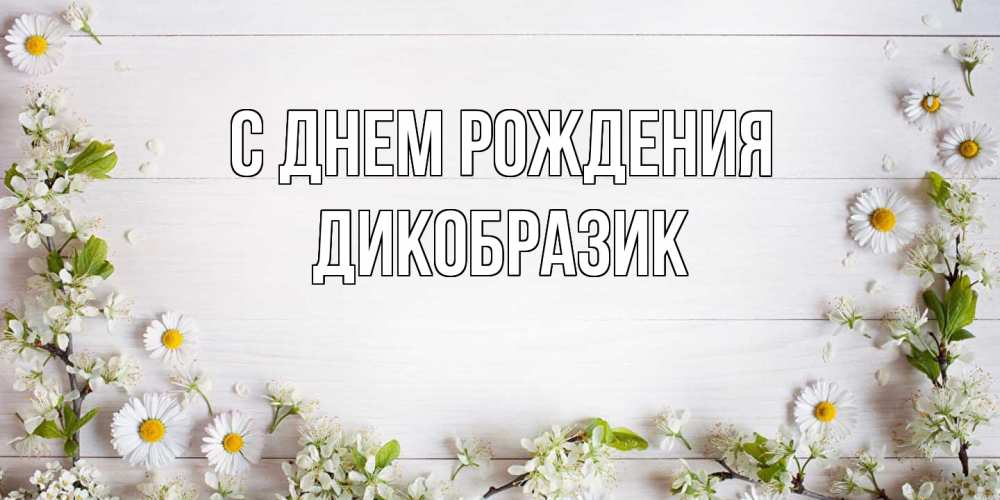 Открытка на каждый день с именем, дикобразик С днем рождения Воздушные шары Прикольная открытка с пожеланием онлайн скачать бесплатно 