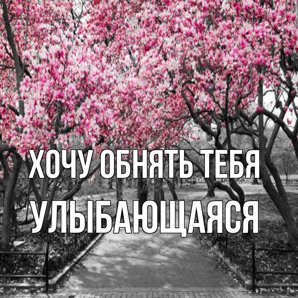 Открытка на каждый день с именем, Улыбающаяся Хочу обнять тебя обработанное фото Прикольная открытка с пожеланием онлайн скачать бесплатно 