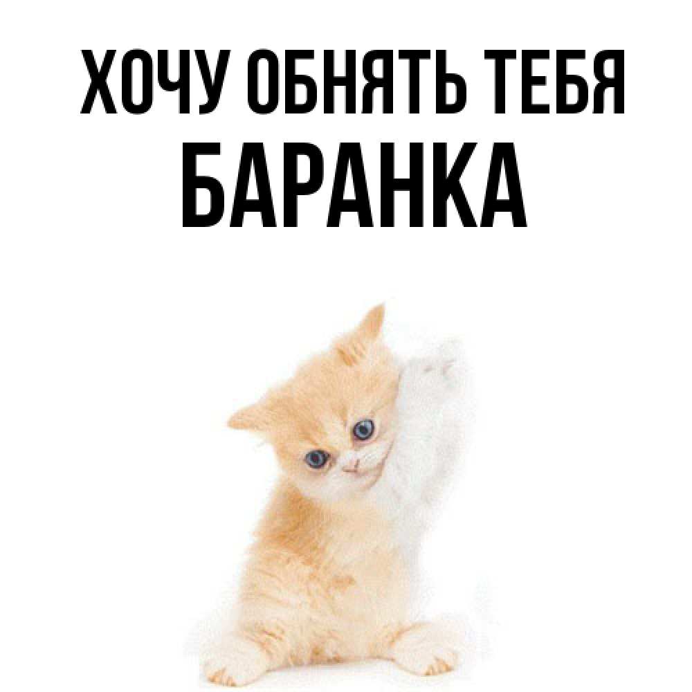 Открытка на каждый день с именем, Баранка Хочу обнять тебя я хочу очень скорее обнимаешек Прикольная открытка с пожеланием онлайн скачать бесплатно 