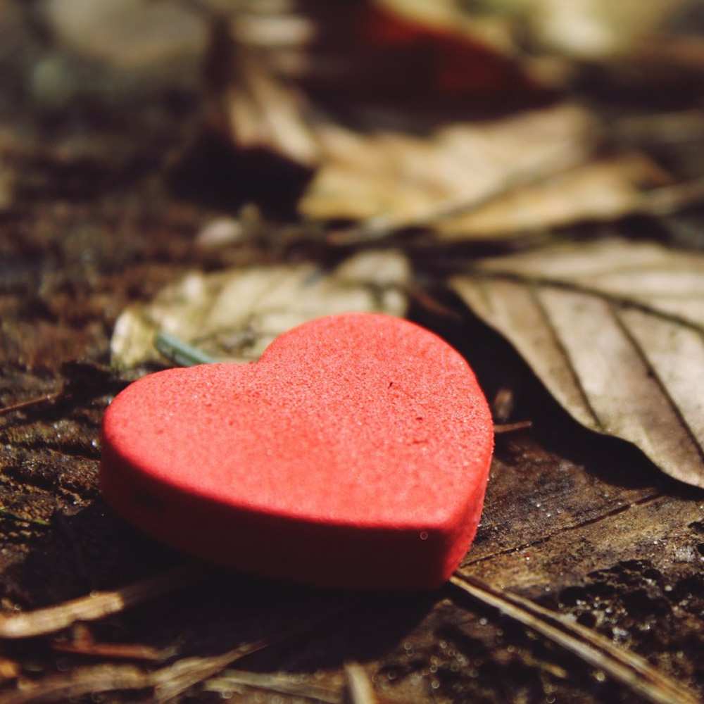 Открытка на каждый день с именем, Зиновий Я тебя люблю листья деревье 4 Прикольная открытка с пожеланием онлайн скачать бесплатно 