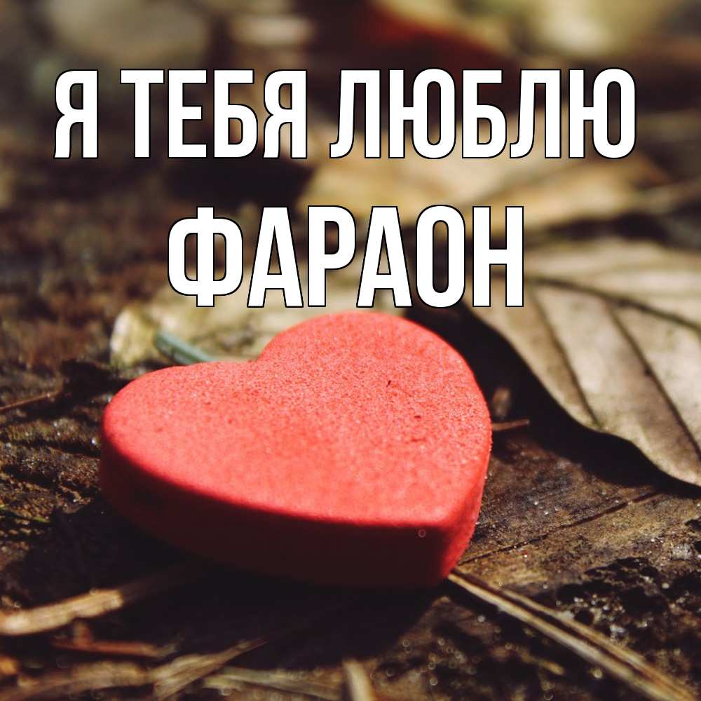 Открытка на каждый день с именем, Фараон Я тебя люблю листья деревье 4 Прикольная открытка с пожеланием онлайн скачать бесплатно 