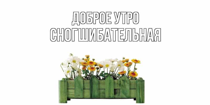 Картинка Доброе утро, Сногшибательная