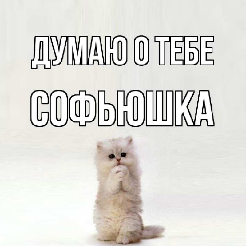 Картинка Думаю о тебе, Софьюшка