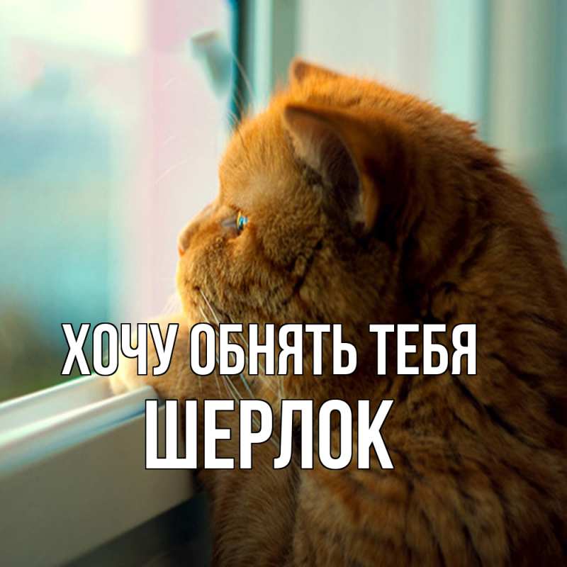Картинка Хочу обнять тебя, Шерлок