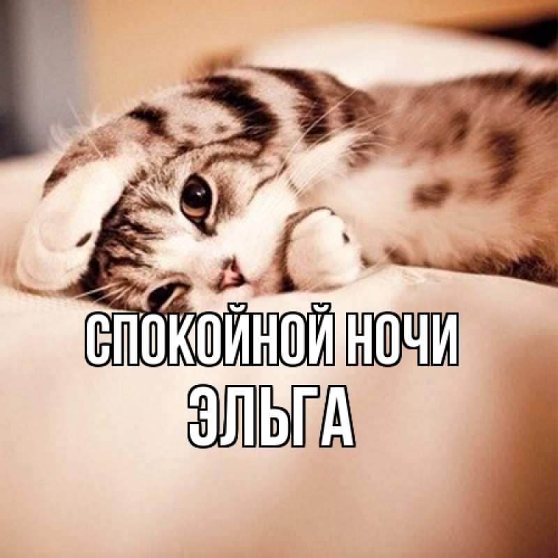 Картинка Спокойной ночи, Эльга