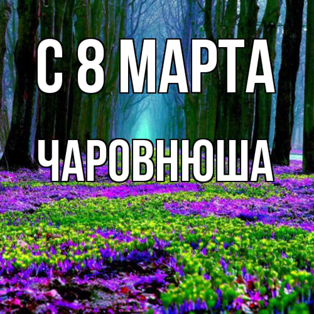 Открытка на каждый день с именем, Чаpовнюша C 8 МАРТА фиолетовые цветы в лесу 1 Прикольная открытка с пожеланием онлайн скачать бесплатно 