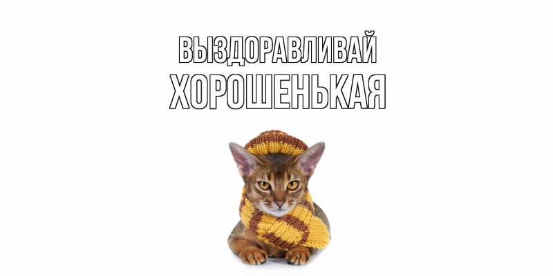 Картинка Выздоравливай, хорошенькая