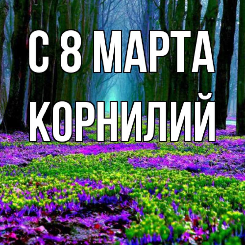 Картинка C 8 МАРТА, Корнилий