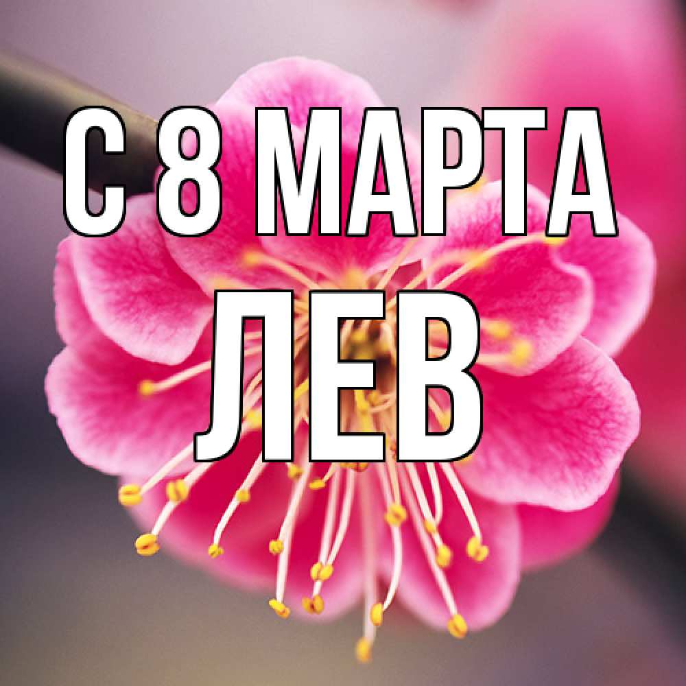 Открытка на каждый день с именем, Лев C 8 МАРТА цветы Прикольная открытка с пожеланием онлайн скачать бесплатно 