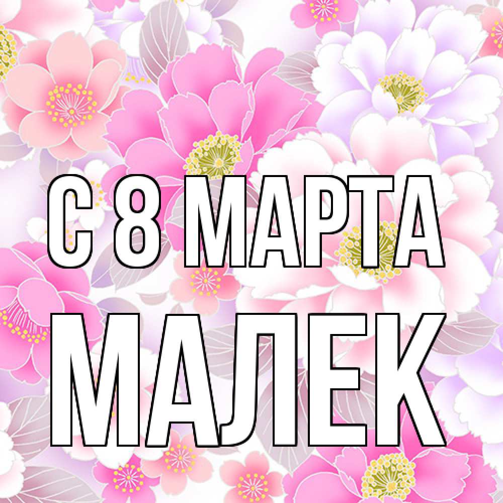 Открытка на каждый день с именем, Малек C 8 МАРТА для женщин Прикольная открытка с пожеланием онлайн скачать бесплатно 