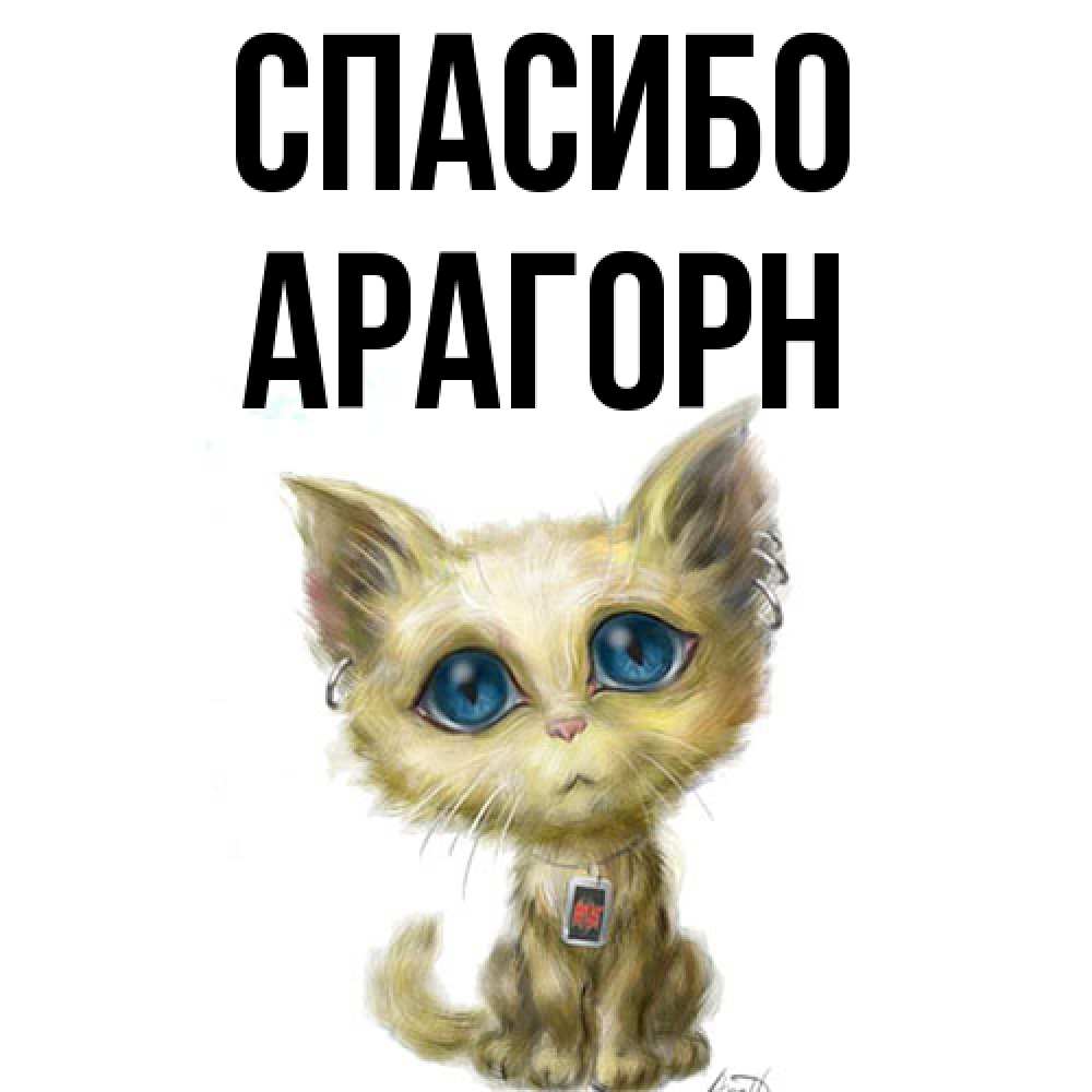Открытка на каждый день с именем, Арагорн Спасибо рисованный кот благодарит вас Прикольная открытка с пожеланием онлайн скачать бесплатно 