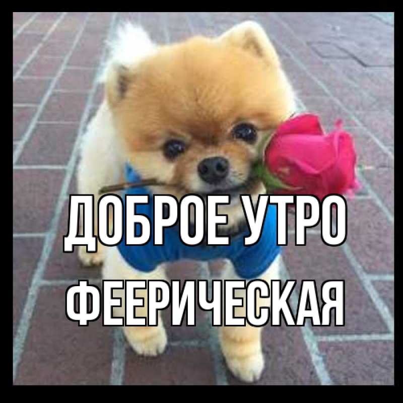 Картинка Доброе утро, Фееpическая