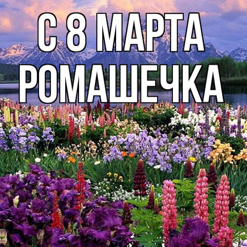 Картинка C 8 МАРТА, Ромашечка