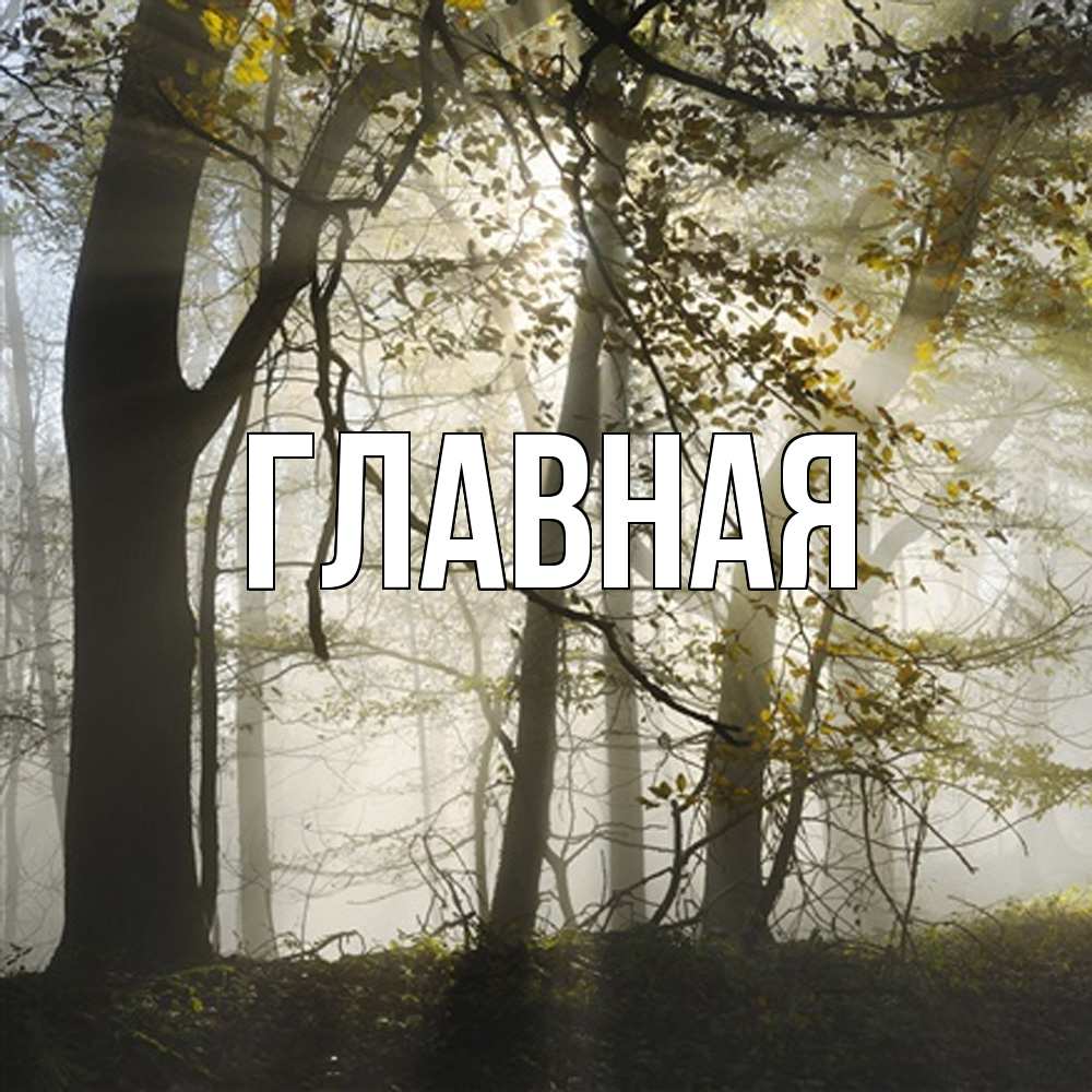 Открытка на каждый день с именем, настя Главная грустно Прикольная открытка с пожеланием онлайн скачать бесплатно 