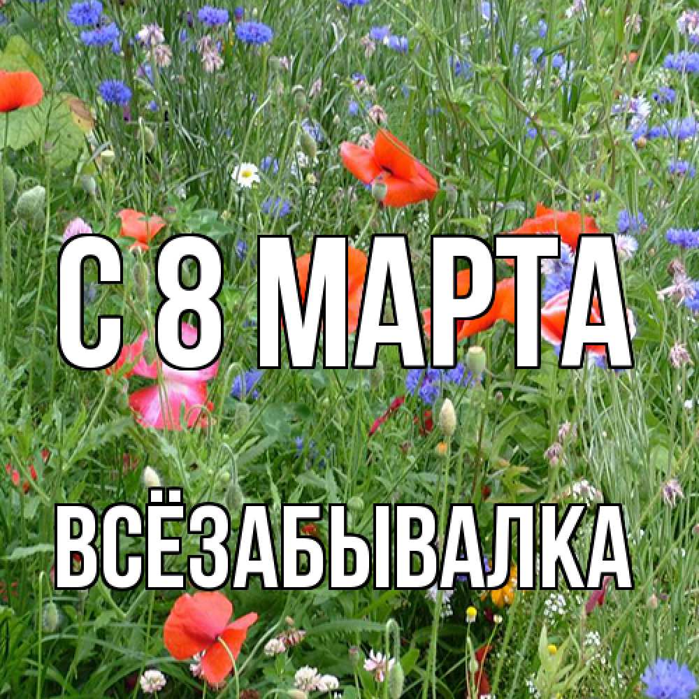 Открытка на каждый день с именем, Всёзабывалка C 8 МАРТА международный женский день 4 Прикольная открытка с пожеланием онлайн скачать бесплатно 