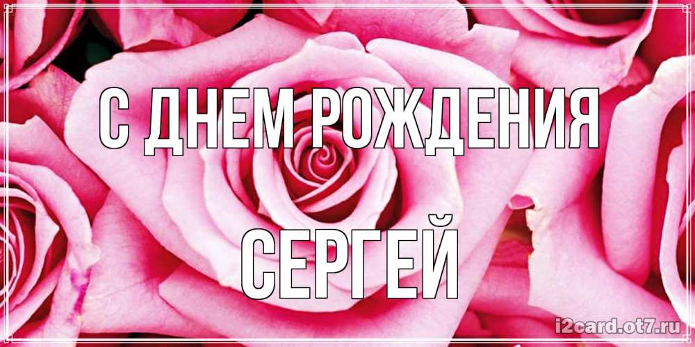 Открытка на каждый день с именем, Сергей С днем рождения открытка с розовой розой на день рождения Прикольная открытка с пожеланием онлайн скачать бесплатно 