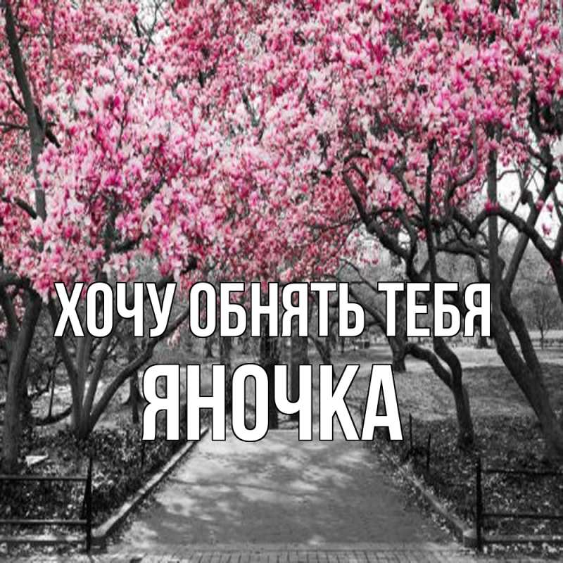 Картинка Хочу обнять тебя, Яночка