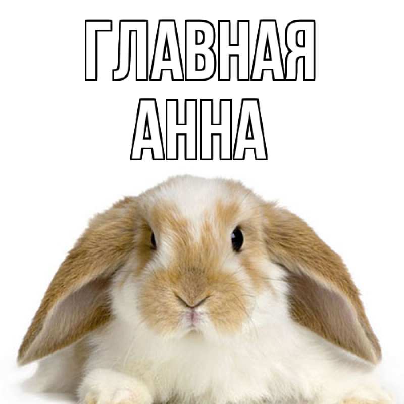 Картинка  с именем , Анна