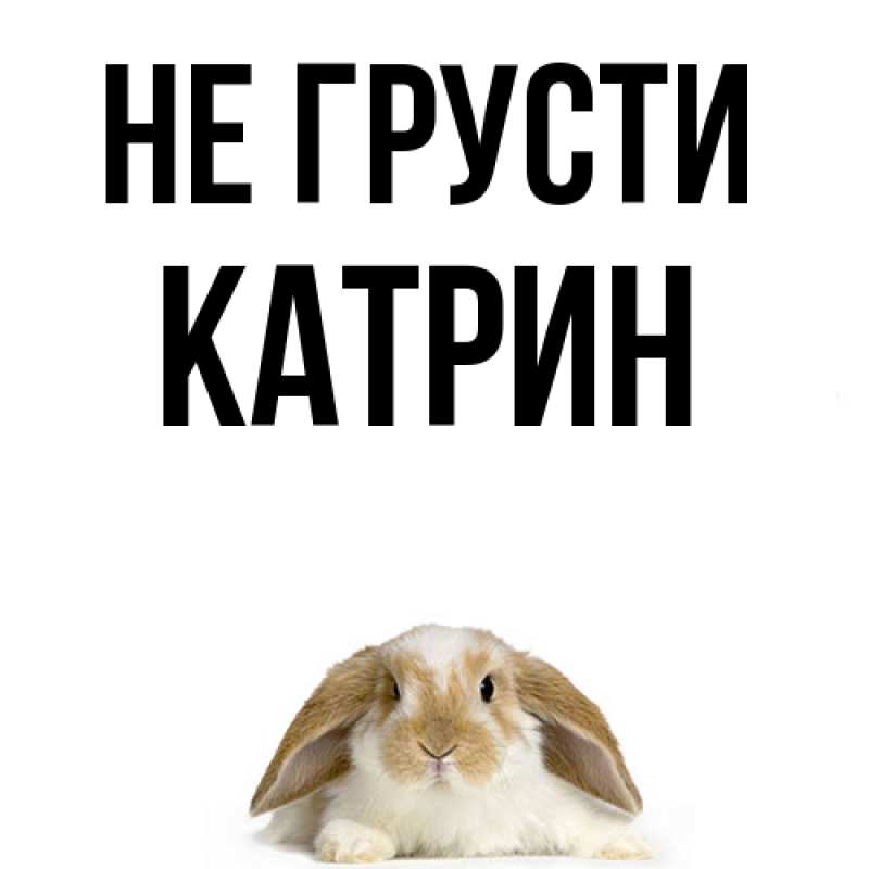 Картинка Не грусти, Катрин