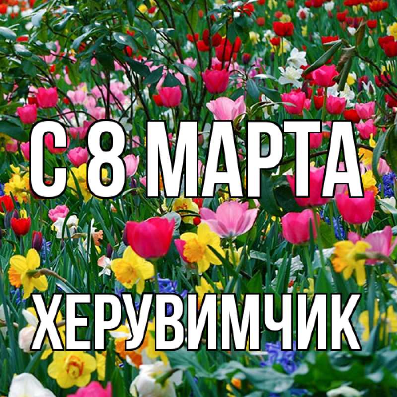 Картинка C 8 МАРТА, херувимчик