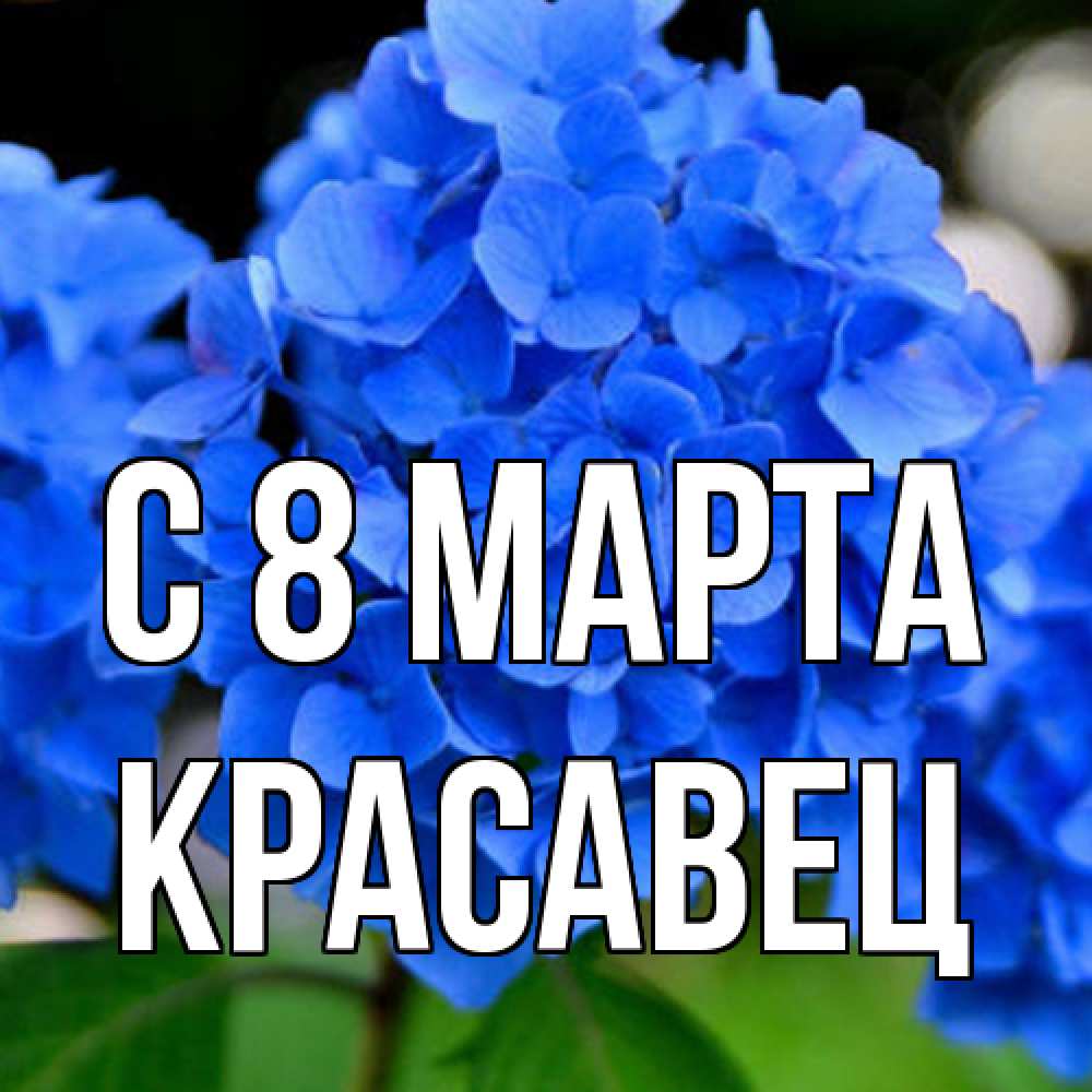Открытка на каждый день с именем, Красавец C 8 МАРТА синие цветы Прикольная открытка с пожеланием онлайн скачать бесплатно 