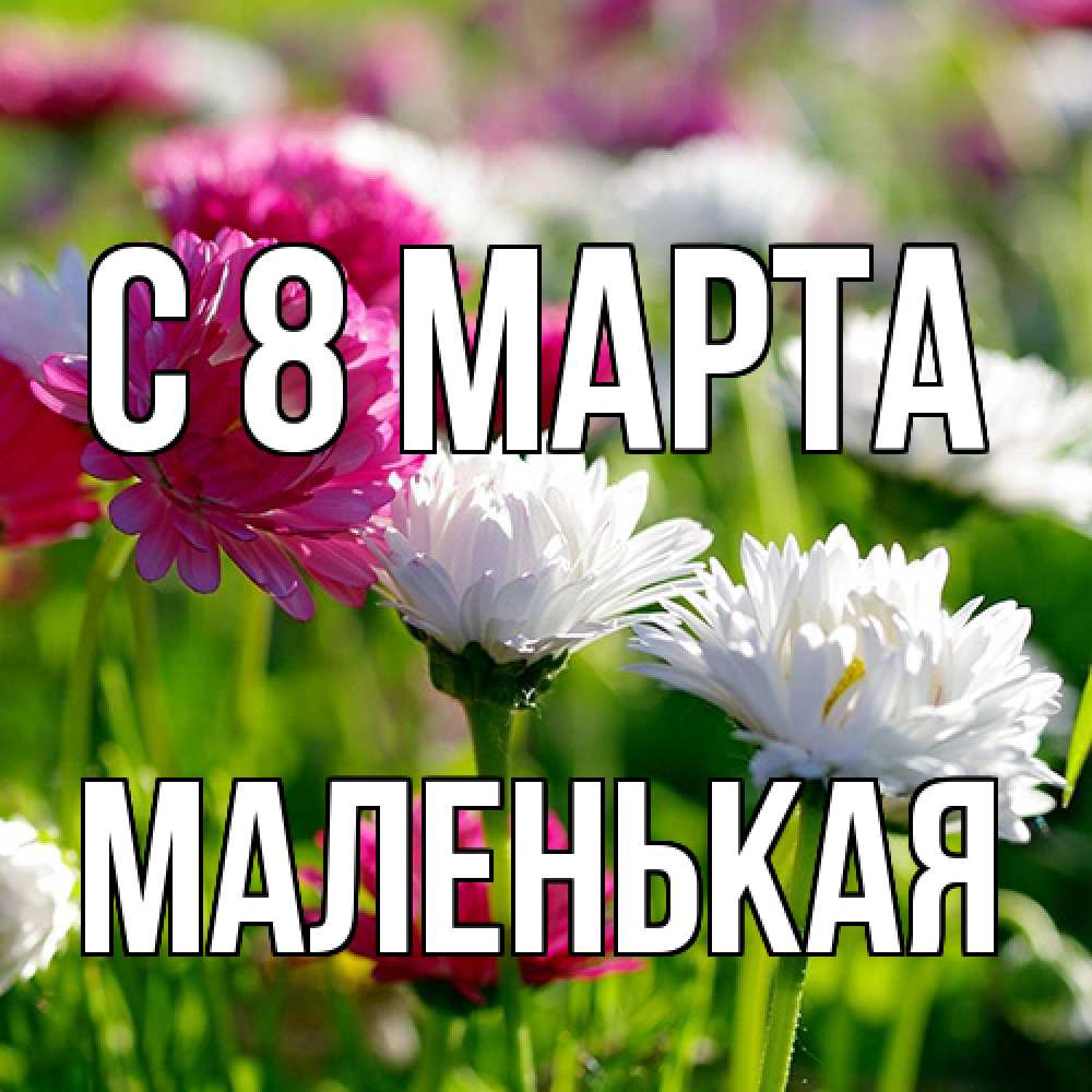 Открытка на каждый день с именем, Маленькая C 8 МАРТА международный женский день 1 Прикольная открытка с пожеланием онлайн скачать бесплатно 