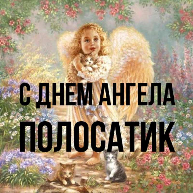 Картинка С днем ангела, полосатик