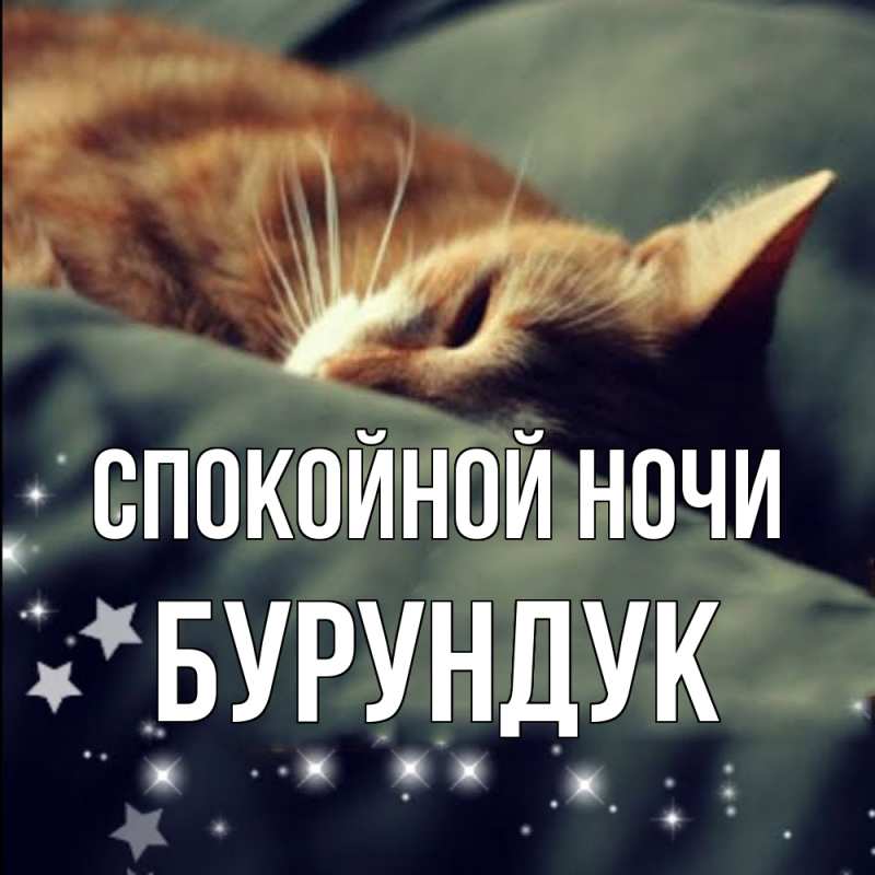 Картинка Спокойной ночи, Бурундук