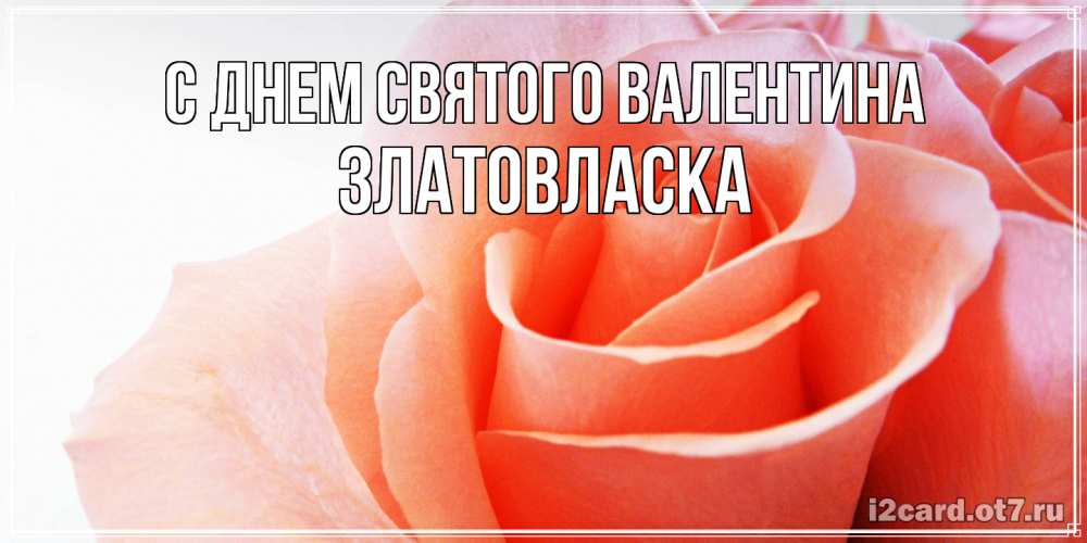 Открытка на каждый день с именем, златовласка С днем Святого Валентина открытка на день Святого Валентина с розовой розой Прикольная открытка с пожеланием онлайн скачать бесплатно 