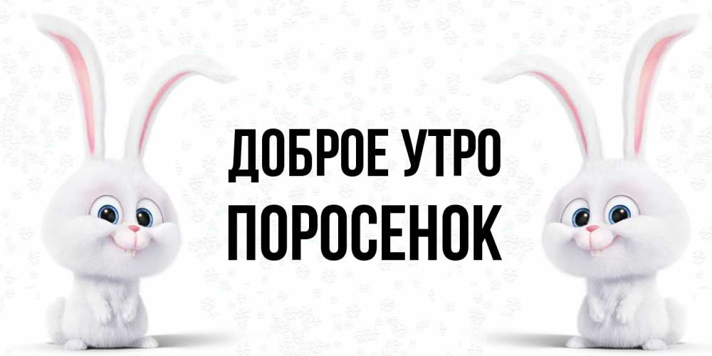 Открытка на каждый день с именем, Поросенок Доброе утро кролики с длинными ушками Прикольная открытка с пожеланием онлайн скачать бесплатно 